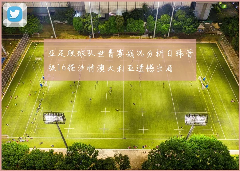 亚足联球队世青赛战况分析日韩晋级16强沙特澳大利亚遗憾出局