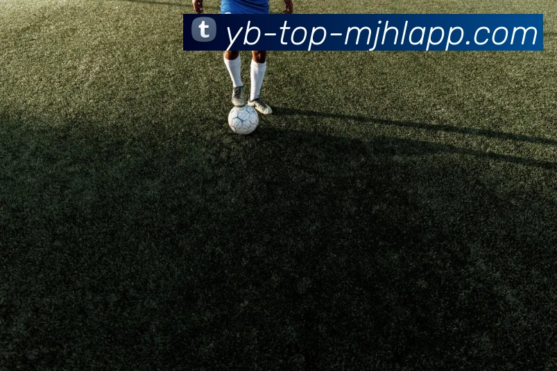 奖项证书